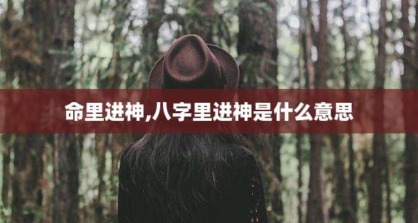 命里进神,八字里进神是什么意思