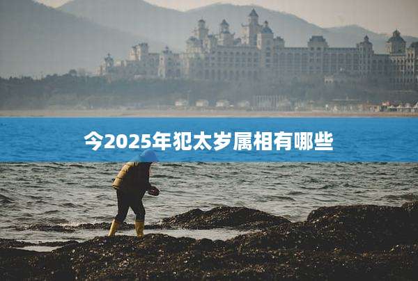 今2025年犯太岁属相有哪些