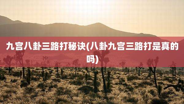 九宫八卦三路打秘诀(八卦九宫三路打是真的吗)