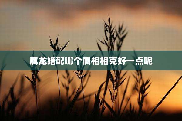 属龙婚配哪个属相相克好一点呢