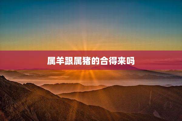 属羊跟属猪的合得来吗