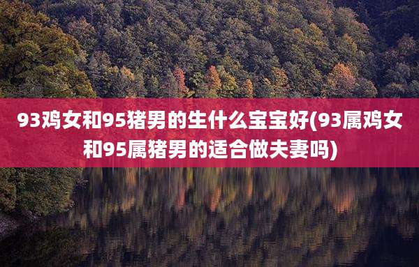 93鸡女和95猪男的生什么宝宝好(93属鸡女和95属猪男的适合做夫妻吗)