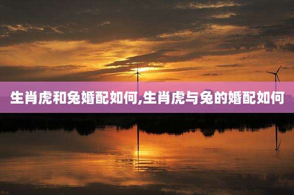 生肖虎和兔婚配如何,生肖虎与兔的婚配如何