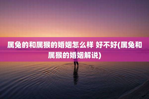 属兔的和属猴的婚姻怎么样 好不好(属兔和属猴的婚姻解说)