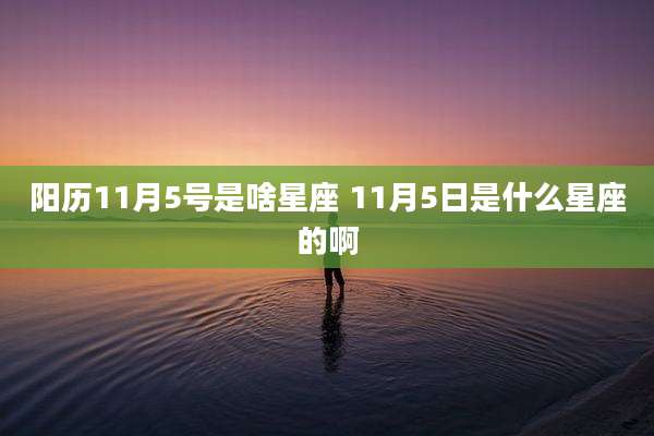 阳历11月5号是啥星座 11月5日是什么星座的啊