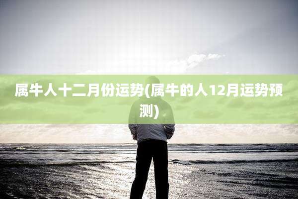 属牛人十二月份运势(属牛的人12月运势预测)