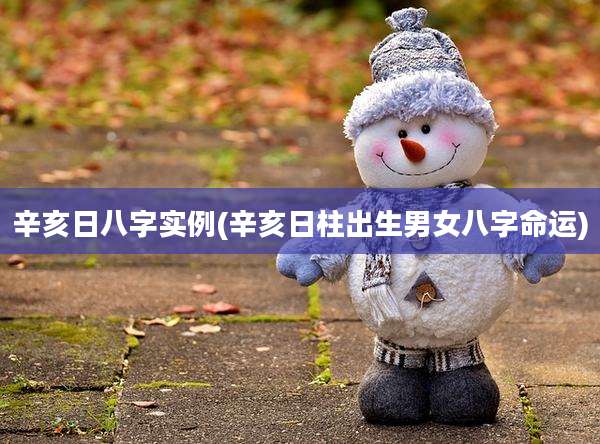辛亥日八字实例(辛亥日柱出生男女八字命运)