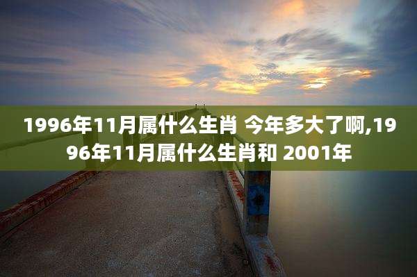 1996年11月属什么生肖 今年多大了啊,1996年11月属什么生肖和 2001年