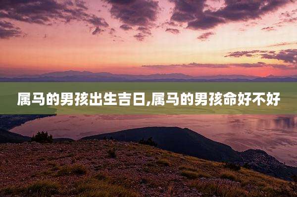 属马的男孩出生吉日,属马的男孩命好不好