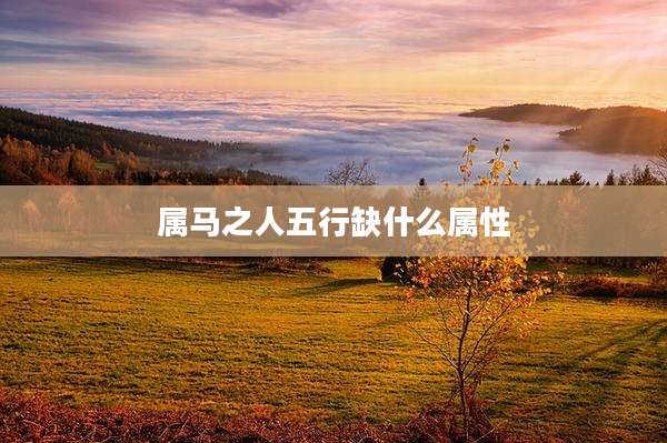 属马之人五行缺什么属性