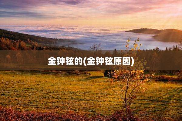 金钟铉的(金钟铉原因)