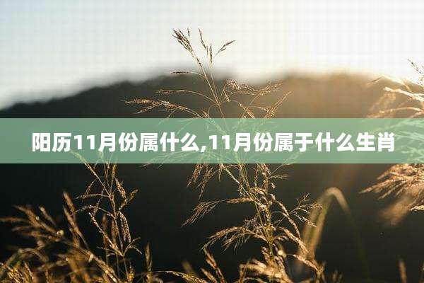 阳历11月份属什么,11月份属于什么生肖