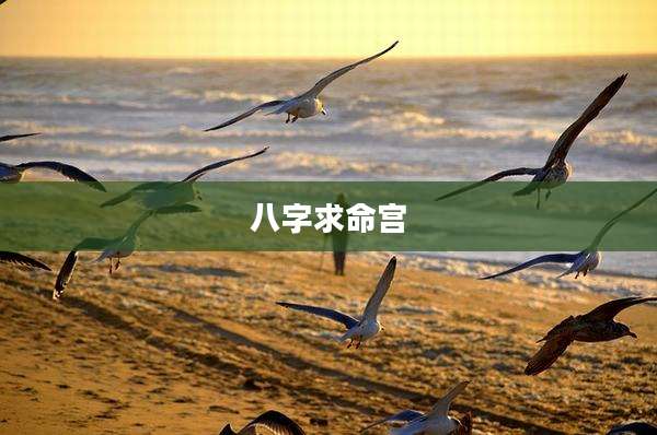 八字求命宫