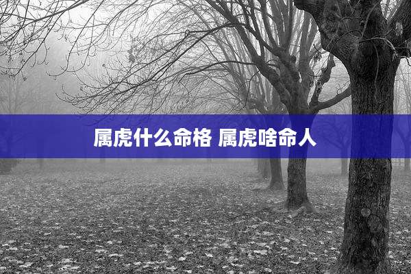 属虎什么命格 属虎啥命人