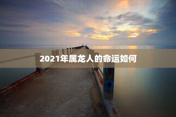 2021年属龙人的命运如何