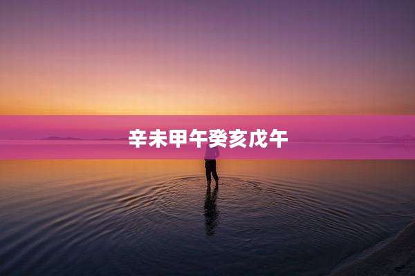 辛未甲午癸亥戊午