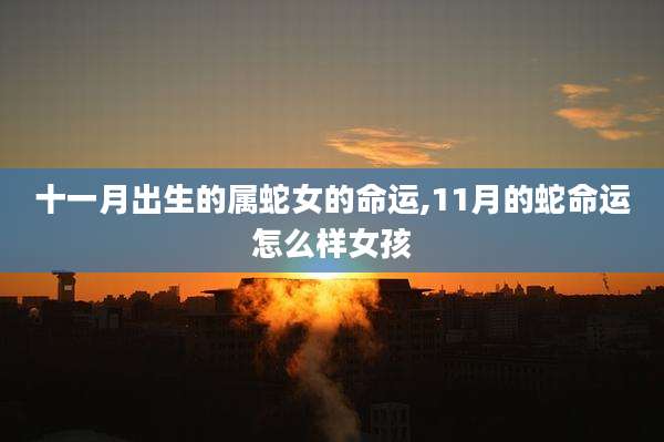 十一月出生的属蛇女的命运,11月的蛇命运怎么样女孩
