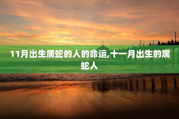 11月出生属蛇的人的命运,十一月出生的属蛇人