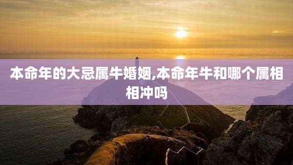 本命年的大忌属牛婚姻,本命年牛和哪个属相相冲吗