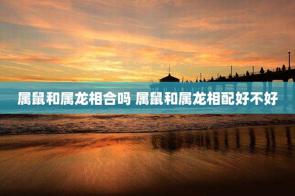 属鼠和属龙相合吗 属鼠和属龙相配好不好