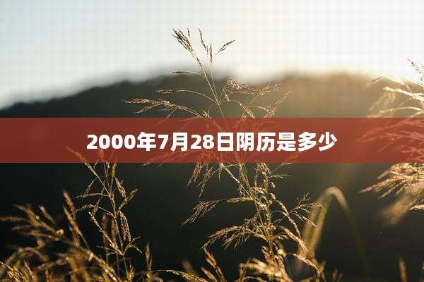 2000年7月28日阴历是多少