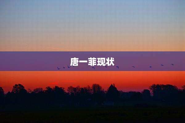 唐一菲现状