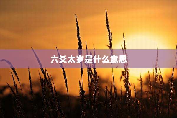 六爻太岁是什么意思