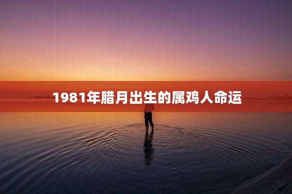 1981年腊月出生的属鸡人命运