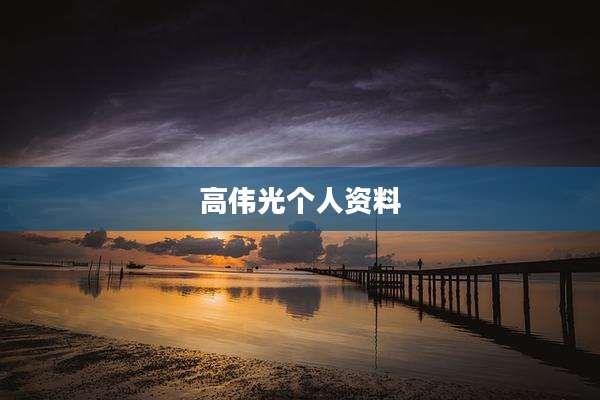 高伟光个人资料