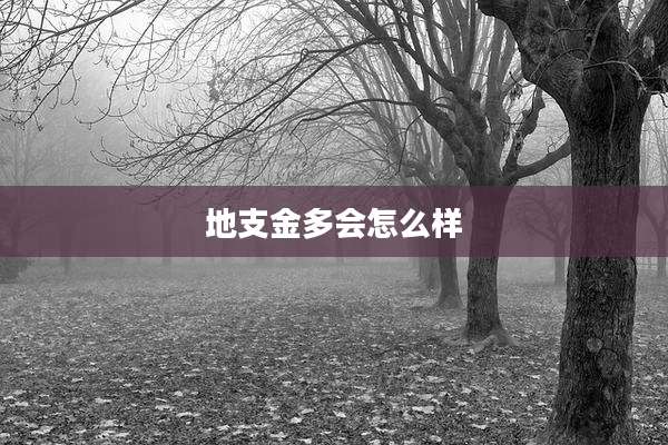 地支金多会怎么样