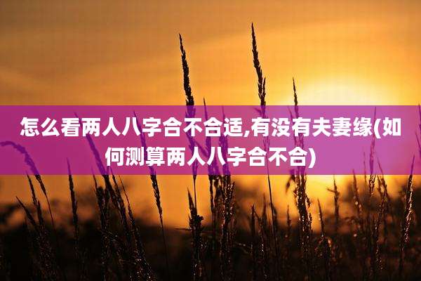 怎么看两人八字合不合适,有没有夫妻缘(如何测算两人八字合不合)