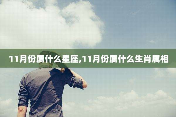 11月份属什么星座,11月份属什么生肖属相