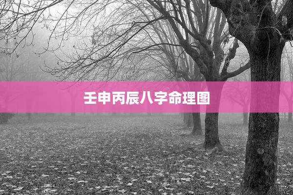 壬申丙辰八字命理图