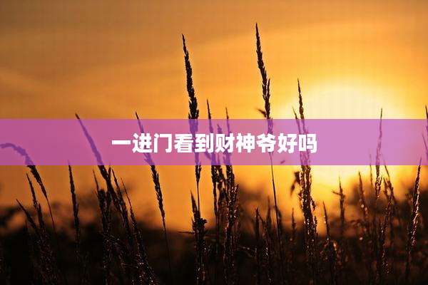 一进门看到财神爷好吗