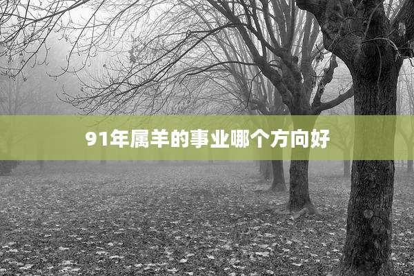 91年属羊的事业哪个方向好