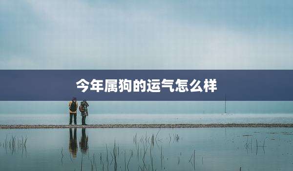 今年属狗的运气怎么样