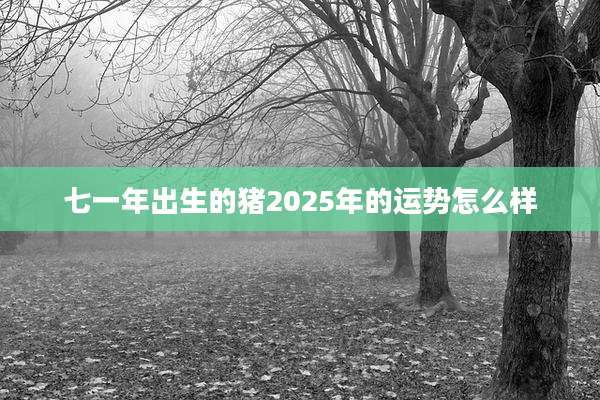 七一年出生的猪2025年的运势怎么样