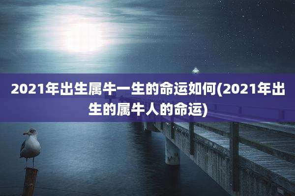 2021年出生属牛一生的命运如何(2021年出生的属牛人的命运)