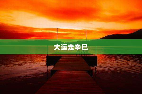 大运走辛巳
