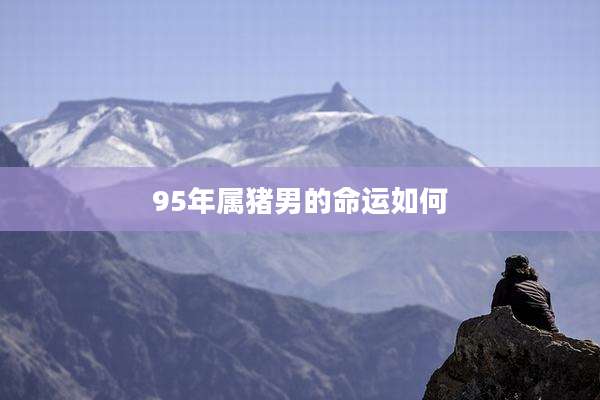 95年属猪男的命运如何