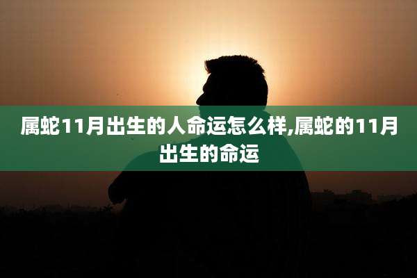属蛇11月出生的人命运怎么样,属蛇的11月出生的命运