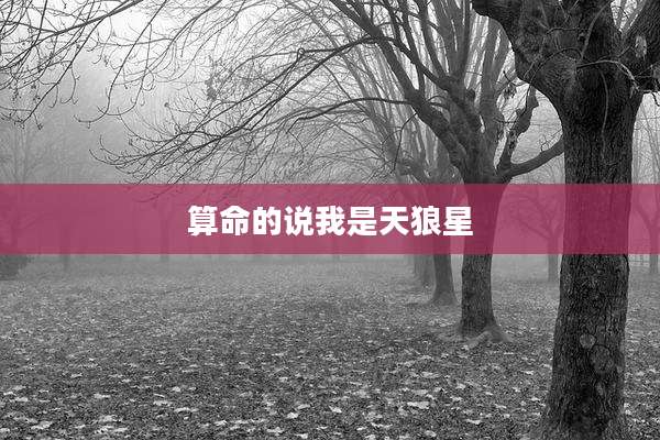 算命的说我是天狼星