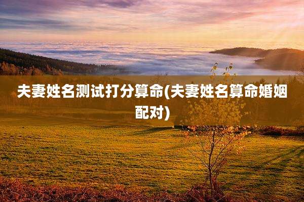 夫妻姓名测试打分算命(夫妻姓名算命婚姻配对)