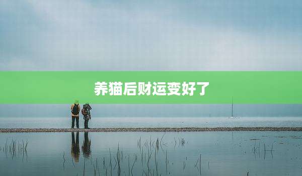 养猫后财运变好了