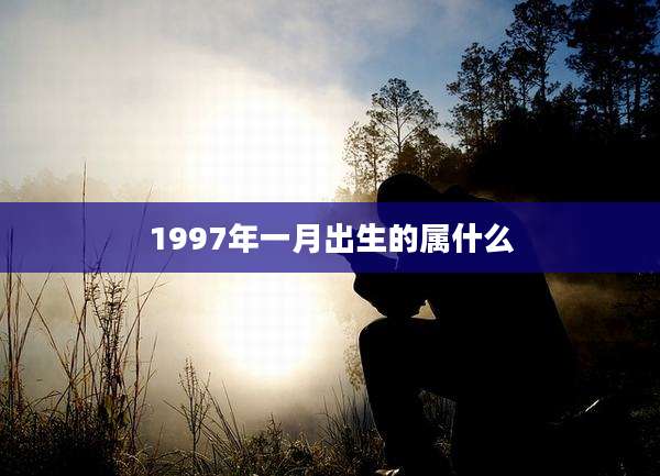 1997年一月出生的属什么
