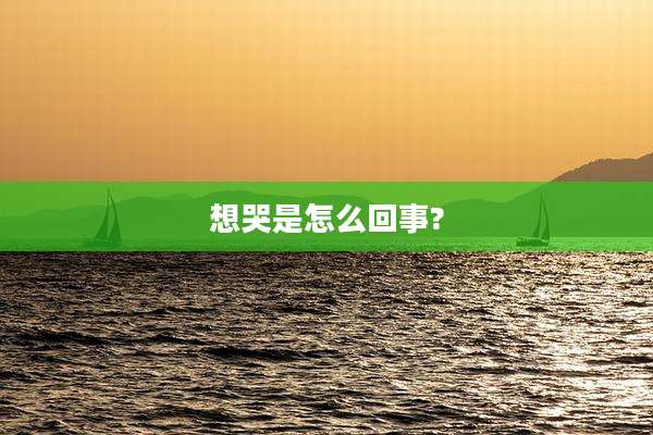 想哭是怎么回事?