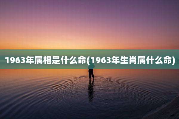 1963年属相是什么命(1963年生肖属什么命)