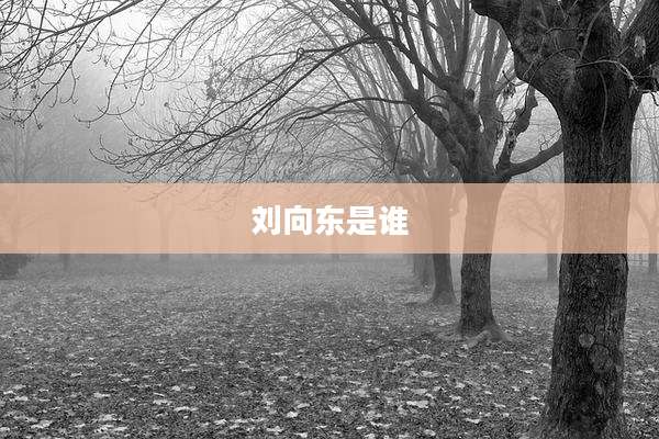 刘向东是谁