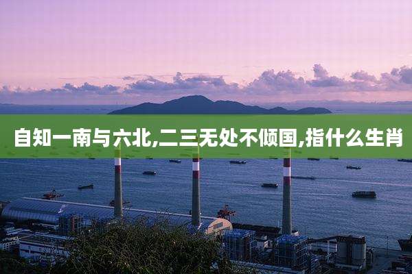 自知一南与六北,二三无处不倾国,指什么生肖