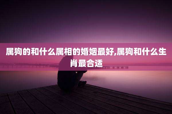 属狗的和什么属相的婚姻最好,属狗和什么生肖最合适